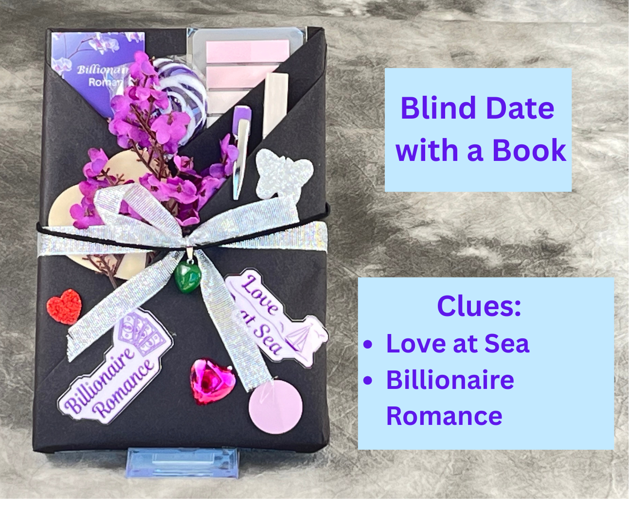 Blind Date with a Book Option 4
