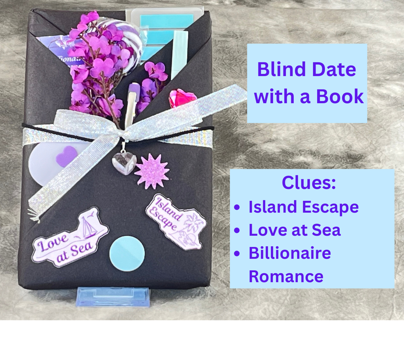 Blind Date with a Book Option 5